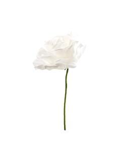 Cabeza de rosa para la decoración de verano en escaparates de tiendas o comercios