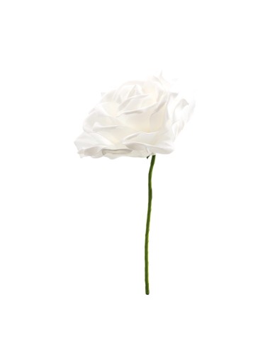 Cabeza de rosa para la decoración de verano en escaparates de tiendas o comercios