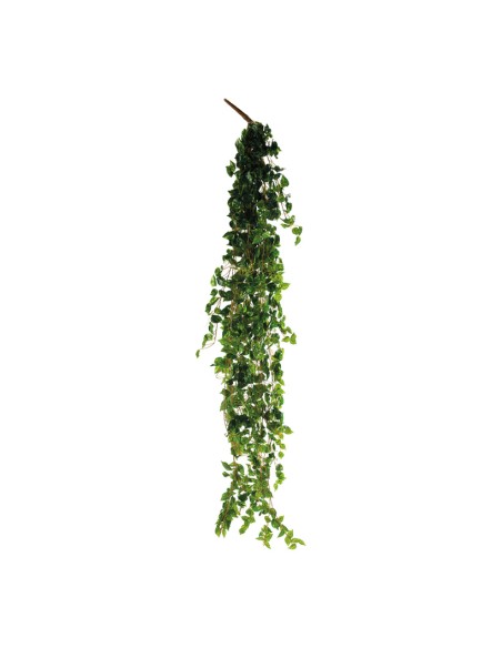 Colgador de hojas de pothos para la decoración de verano en escaparates de tiendas o comercios