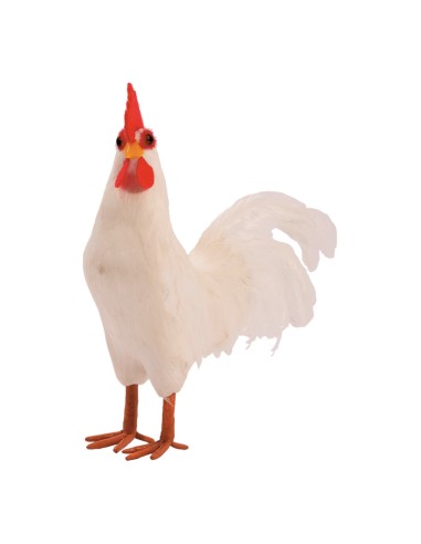 Gallo para la decoración de verano en escaparates de tiendas o comercios