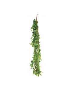 Colgador de hojas de pothos para la decoración de verano en escaparates de tiendas o comercios
