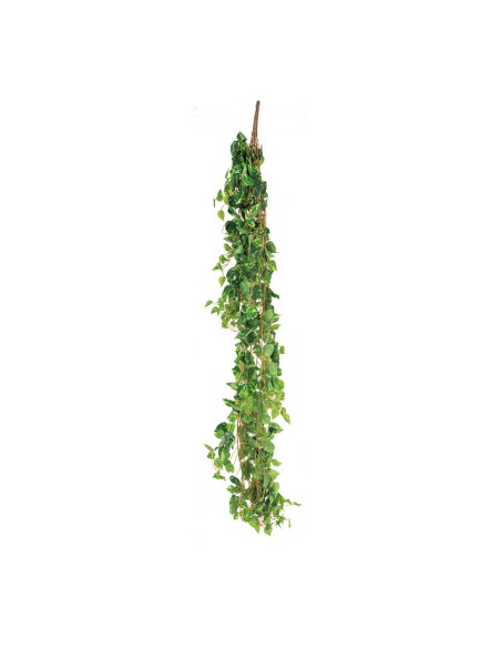 Colgador de hojas de pothos para la decoración de verano en escaparates de tiendas o comercios