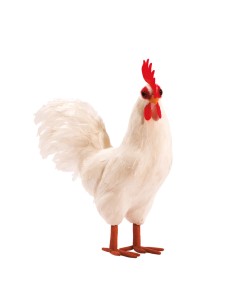 Gallo para la decoración de verano en escaparates de tiendas o comercios