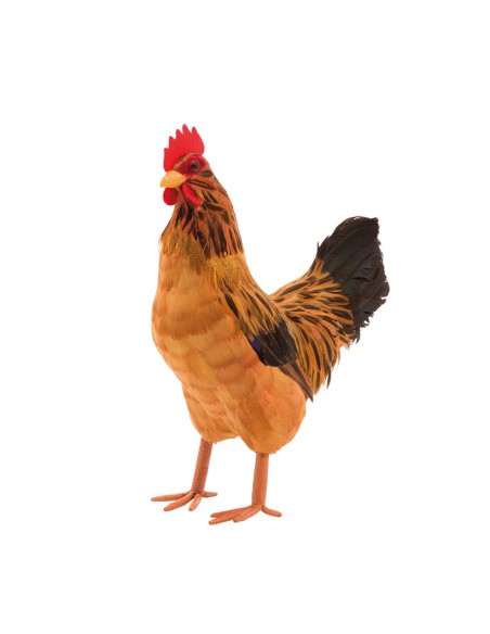 Gallina para la decoración de verano en escaparates de tiendas o comercios