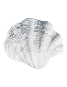 Concha para la decoración de verano en escaparates de tiendas o comercios