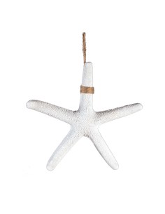 Estrella de mar para la decoración de verano en escaparates de tiendas o comercios