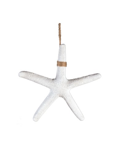 Estrella de mar para la decoración de verano en escaparates de tiendas o comercios