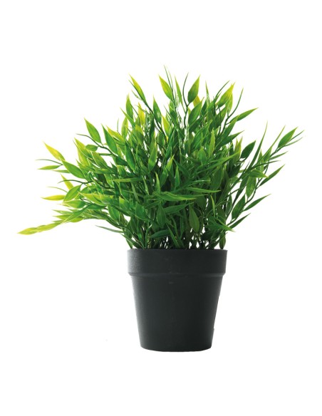 Hojas de bambú en maceta para la decoración de verano en escaparates de tiendas o comercios
