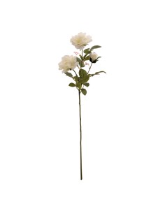 Aerosol de rosas para la decoración en del día de los enamorados