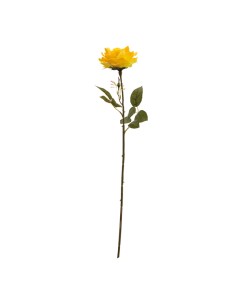 Rosa para la decoración en del día de los enamorados