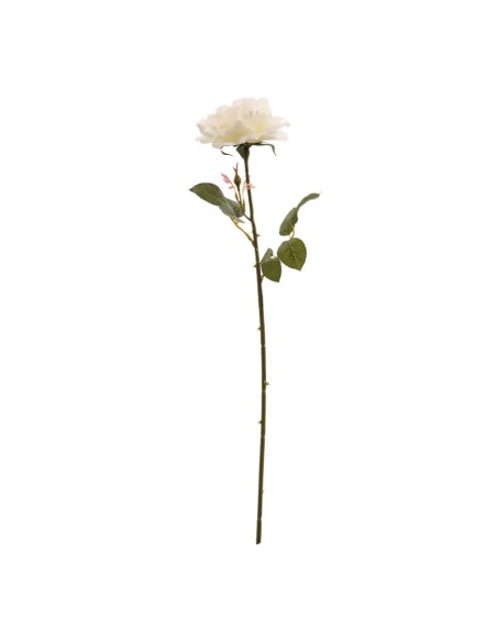 Rosa para la decoración en del día de los enamorados