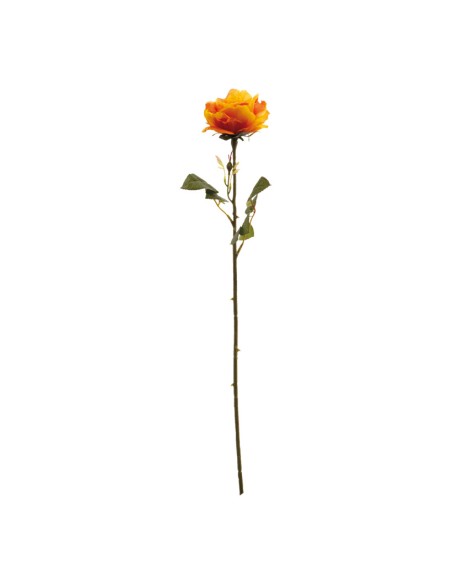 Rosa para la decoración en del día de los enamorados