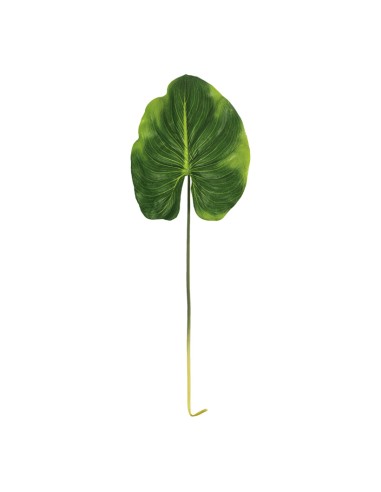 Hoja de canna para la decoración de verano en escaparates de tiendas o comercios