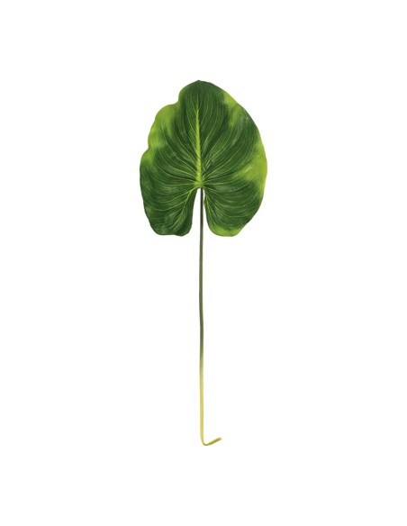 Hoja de canna para la decoración de verano en escaparates de tiendas o comercios