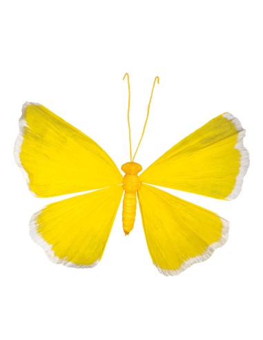 Mariposa para la decoración de verano en escaparates de tiendas o comercios
