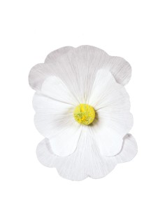 Florecer para la decoración de verano en escaparates de tiendas o comercios