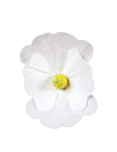 Florecer para la decoración de verano en escaparates de tiendas o comercios
