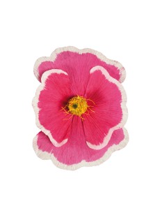 Florecer para la decoración de verano en escaparates de tiendas o comercios