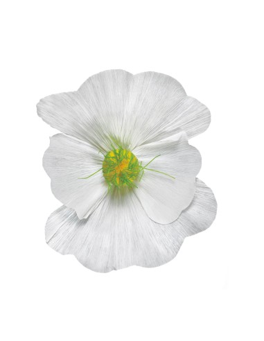 Florecer para la decoración de verano en escaparates de tiendas o comercios