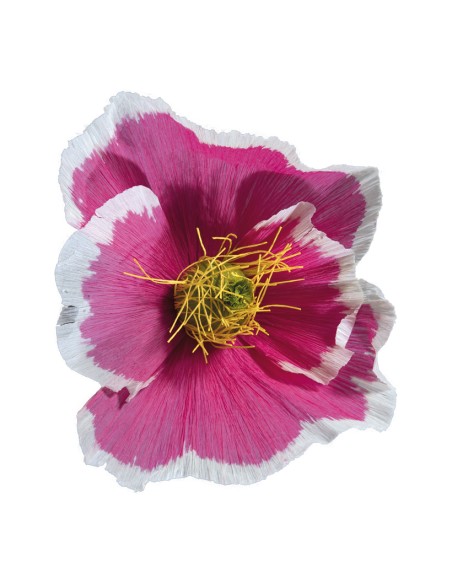 Florecer para la decoración de verano en escaparates de tiendas o comercios