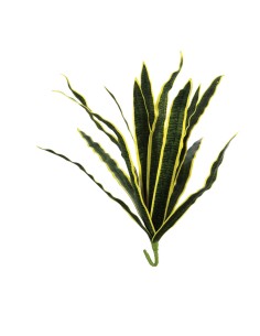 Paquete de hojas de orquídea para la decoración de verano en escaparates de tiendas o comercios