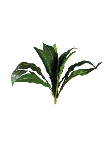 Paquete de hojas tropicales para la decoración de verano en escaparates de tiendas o comercios