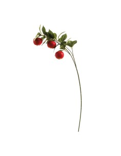 Aerosol de manzana para la decoración de verano en escaparates de tiendas o comercios
