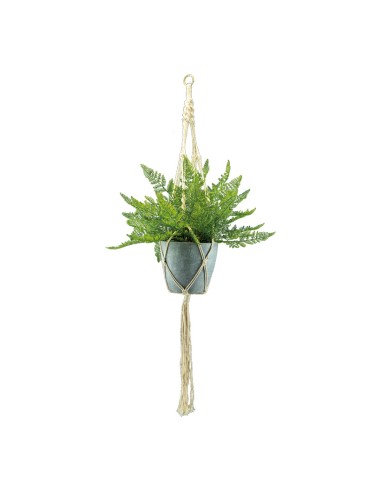 Helecho para la decoración de verano en escaparates de tiendas o comercios