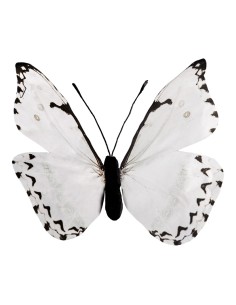 Mariposa para la decoración de verano en escaparates de tiendas o comercios