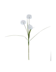 Diente de león para la decoración de verano en escaparates de tiendas o comercios
