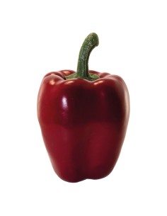 Pimienta para la decoración de verano en escaparates de tiendas o comercios