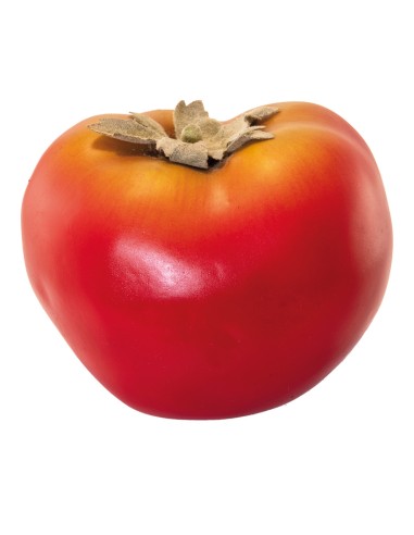 Tomate para la decoración de verano en escaparates de tiendas o comercios