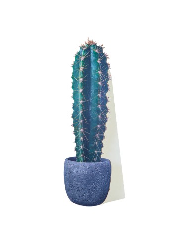 Recorte »cactus 2« para la decoración de verano en escaparates de tiendas o comercios