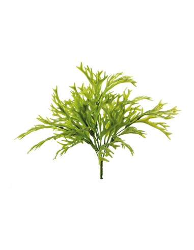Arbusto de pastos marinos para la decoración de verano en escaparates de tiendas o comercios