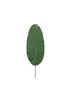 Hoja de banana para la decoración de verano en escaparates de tiendas o comercios