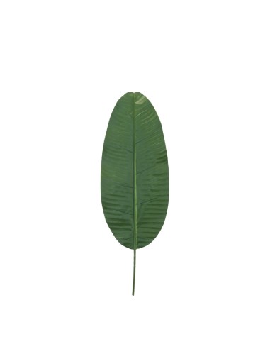 Hoja de banana para la decoración de verano en escaparates de tiendas o comercios