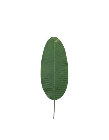 Hoja de banana para la decoración de verano en escaparates de tiendas o comercios