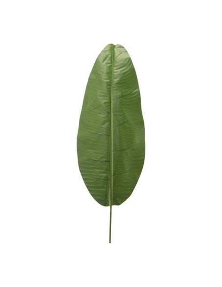 Hoja de banana para la decoración de verano en escaparates de tiendas o comercios
