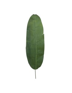 Hoja de banana para la decoración de verano en escaparates de tiendas o comercios