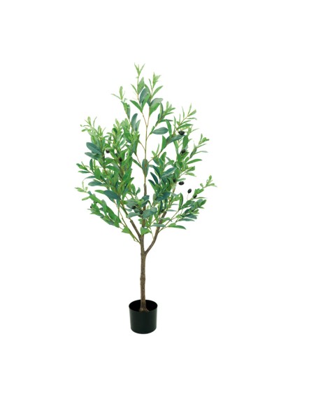 Olivo para la decoración de verano en escaparates de tiendas o comercios