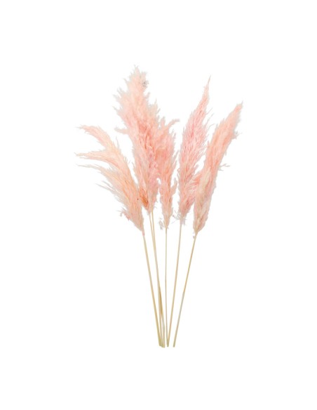 Manojo de hierba de pampa para la decoración de verano en escaparates de tiendas o comercios