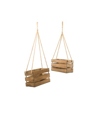 Cajas de plantas para la decoración de verano en escaparates de tiendas o comercios