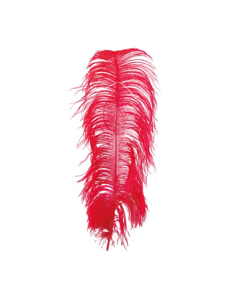 Pluma de avestruz para la decoración de verano en escaparates de tiendas o comercios