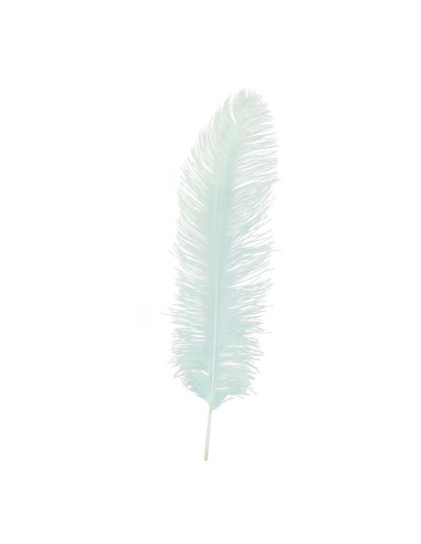 Pluma de avestruz para la decoración de verano en escaparates de tiendas o comercios