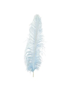 Pluma de avestruz para la decoración de verano en escaparates de tiendas o comercios
