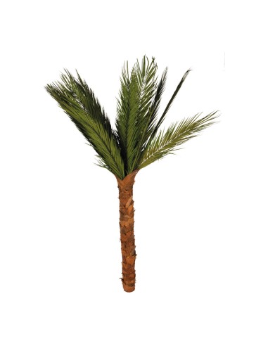 Palmera areca para la decoración de verano en escaparates de tiendas o comercios