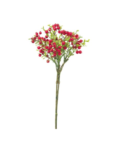 Racimo de bayas para la decoración de verano en escaparates de tiendas o comercios