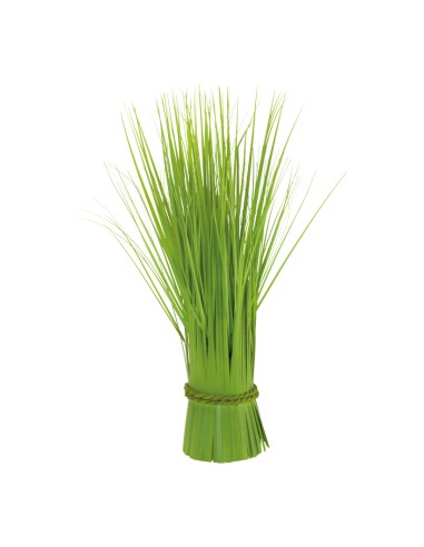 Manojo de caña para la decoración de verano en escaparates de tiendas o comercios