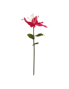 Lirio con tallo para la decoración en del día de los enamorados