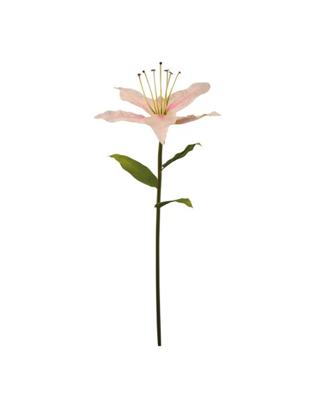 Lirio con tallo para la decoración en del día de los enamorados